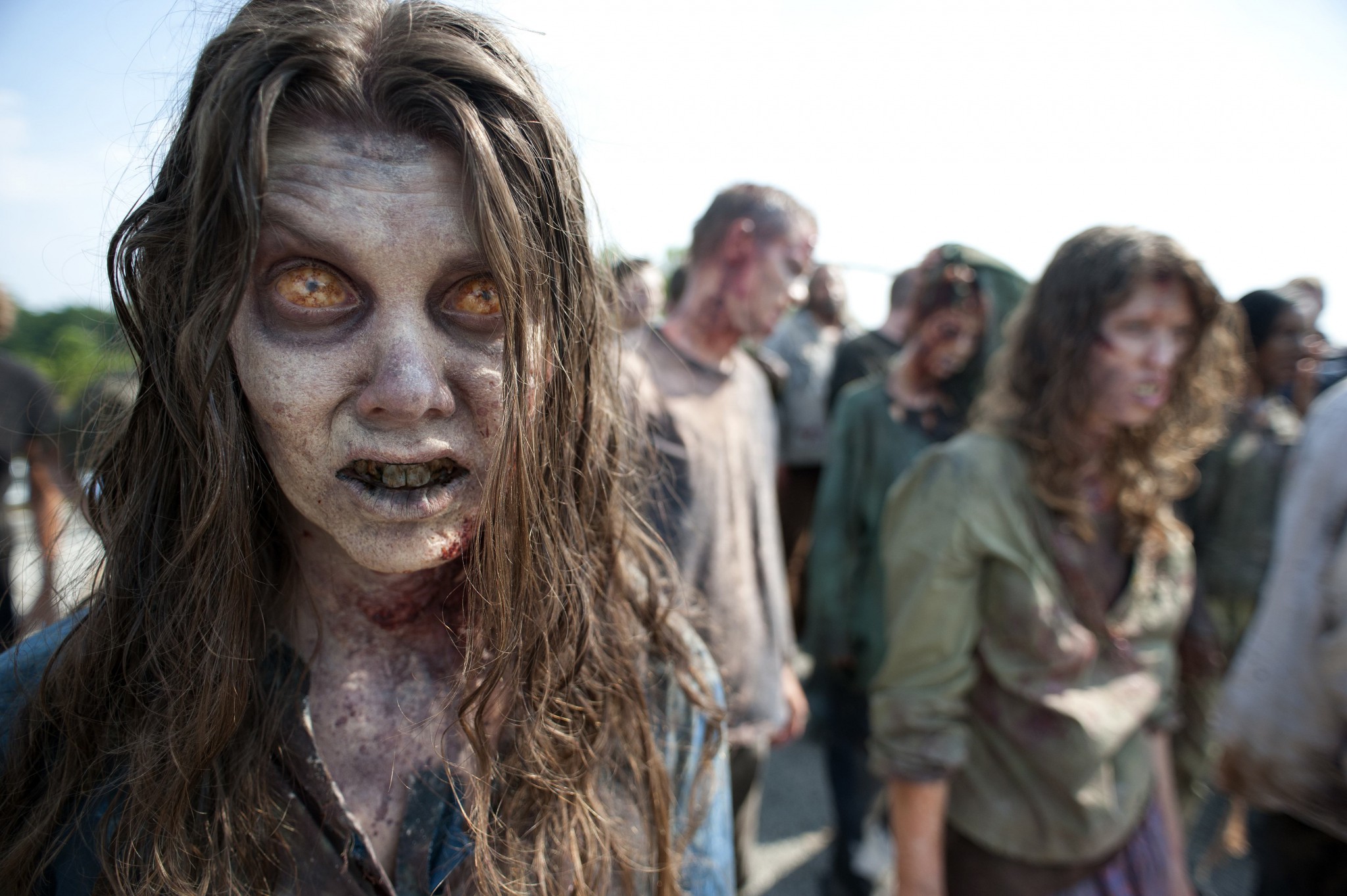 walkingdead_20110608172713