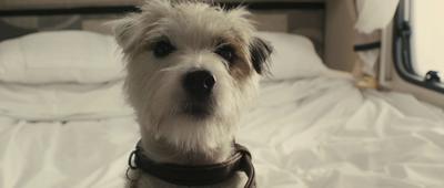 Sightseers (5)