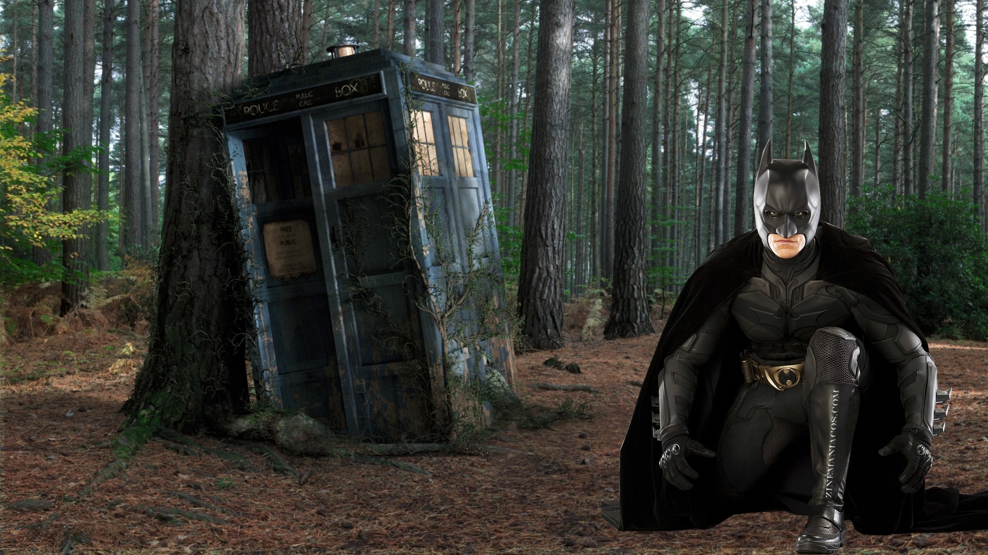 Batman Tardis