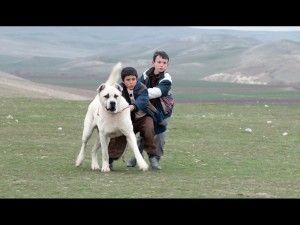 Fotograma Sivas