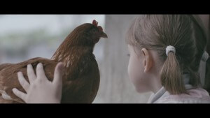 Fotograma Chiken