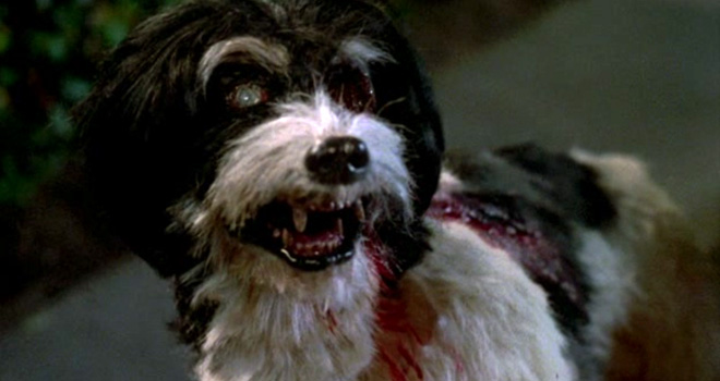 night_of_the_creeps_zombie_dog