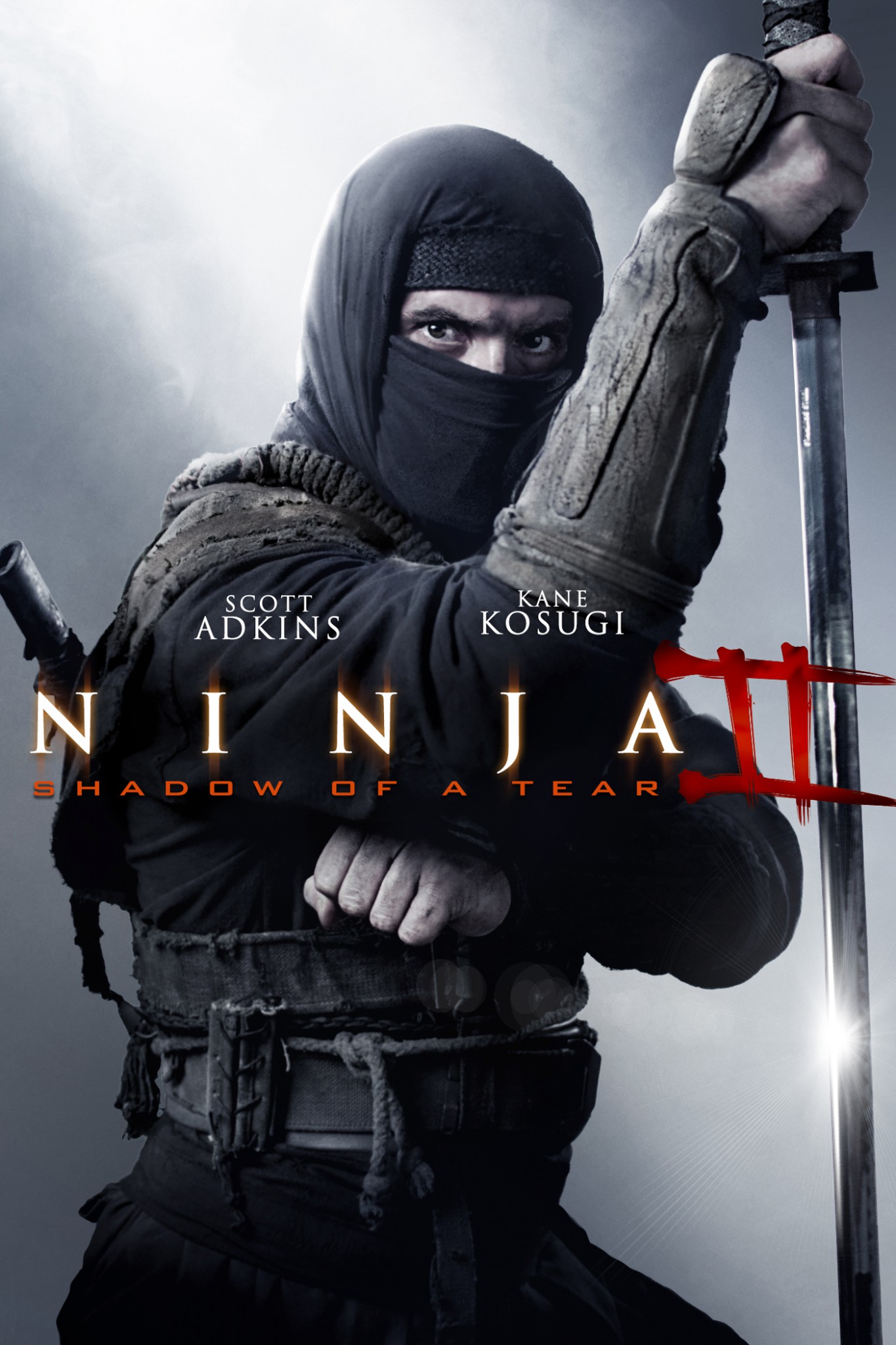 ninja 2 2013