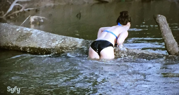 Summer Shark Attack 01