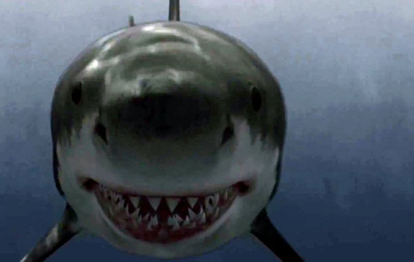 Raiders of the lost shark 02