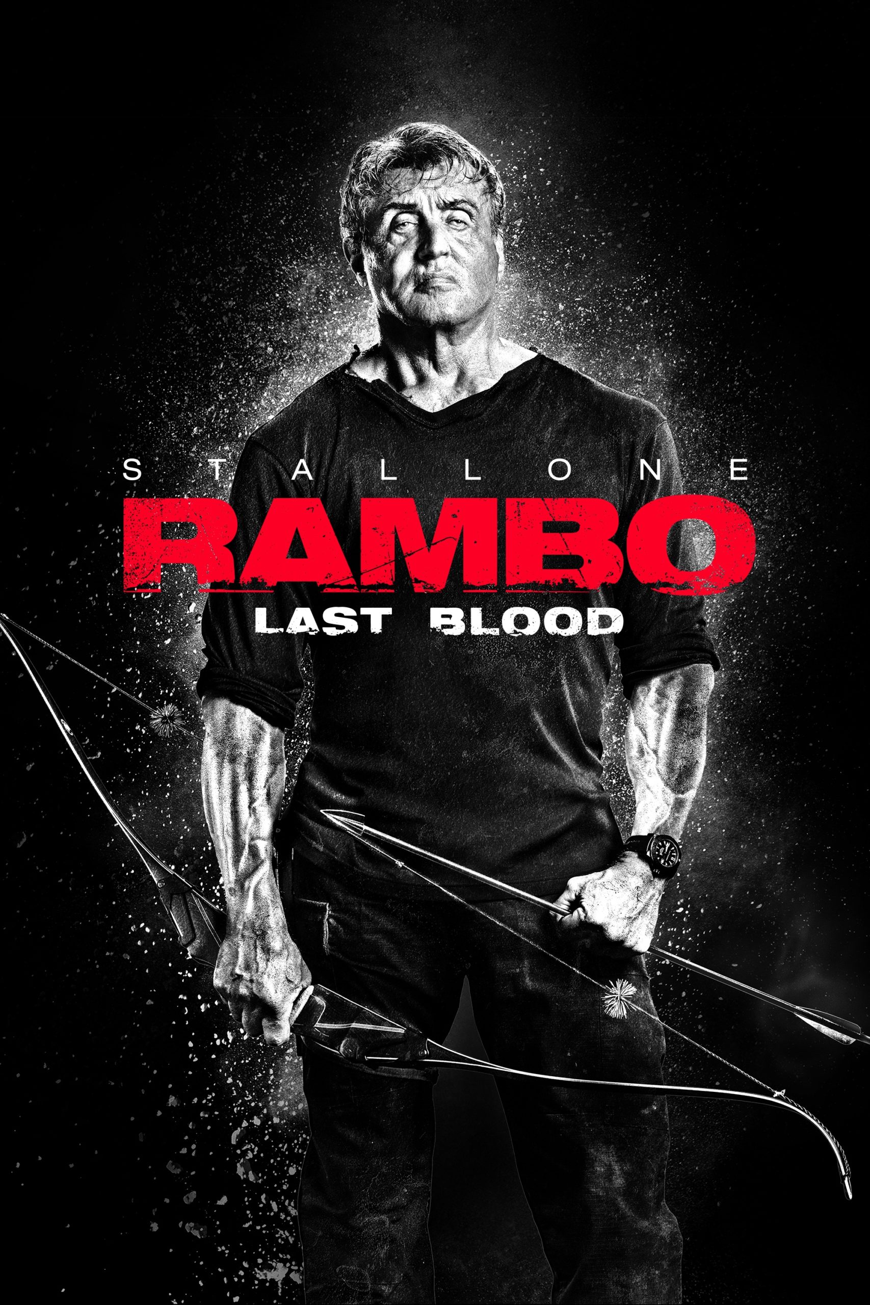 Cartel de la película Rambo Last Blood, de 2019