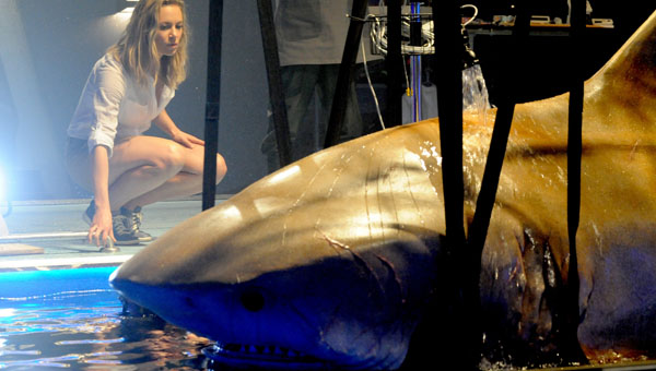 Deep Blue Sea 2 - 03