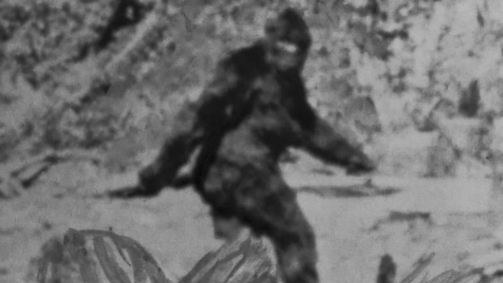 Fotografía de Bigfoot