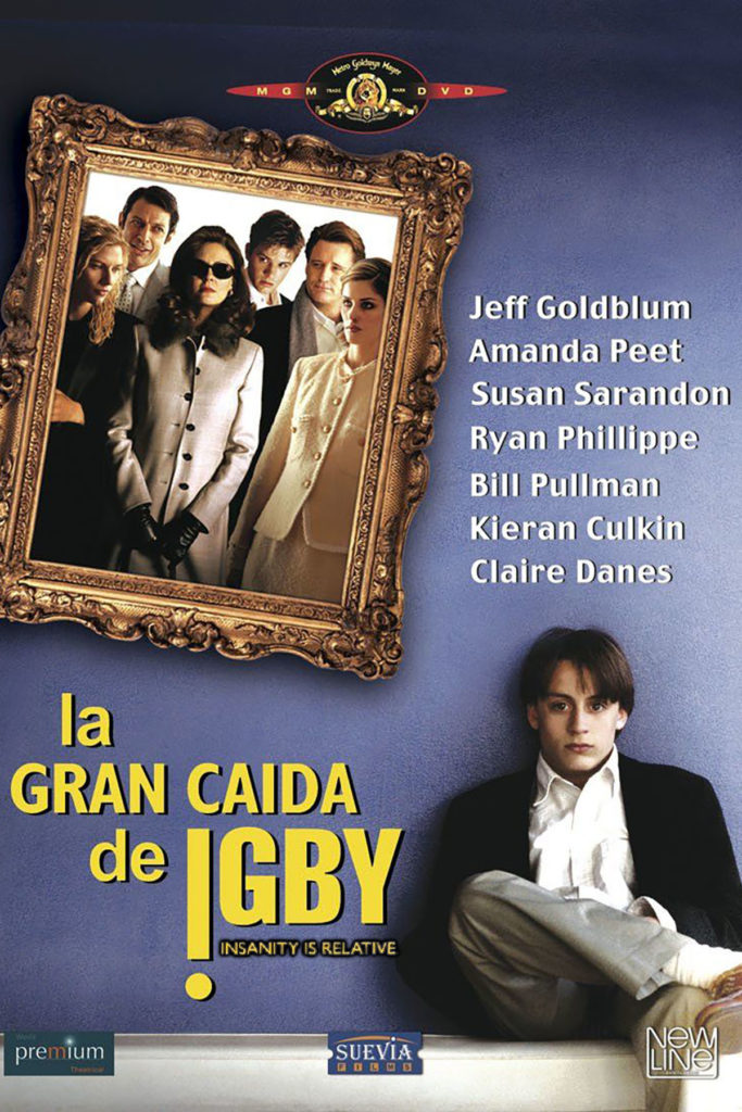 La gran caída de Igby - poster