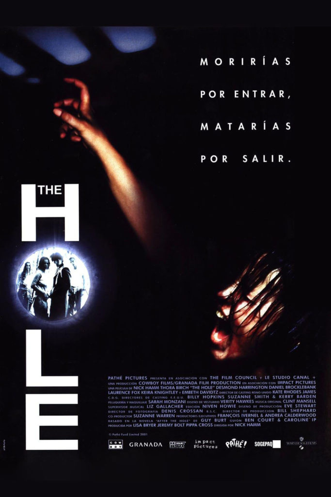The hole - poster