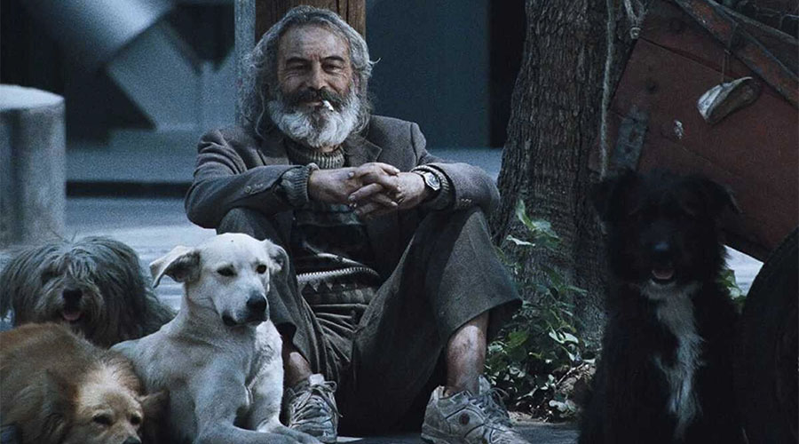 Amores perros 04