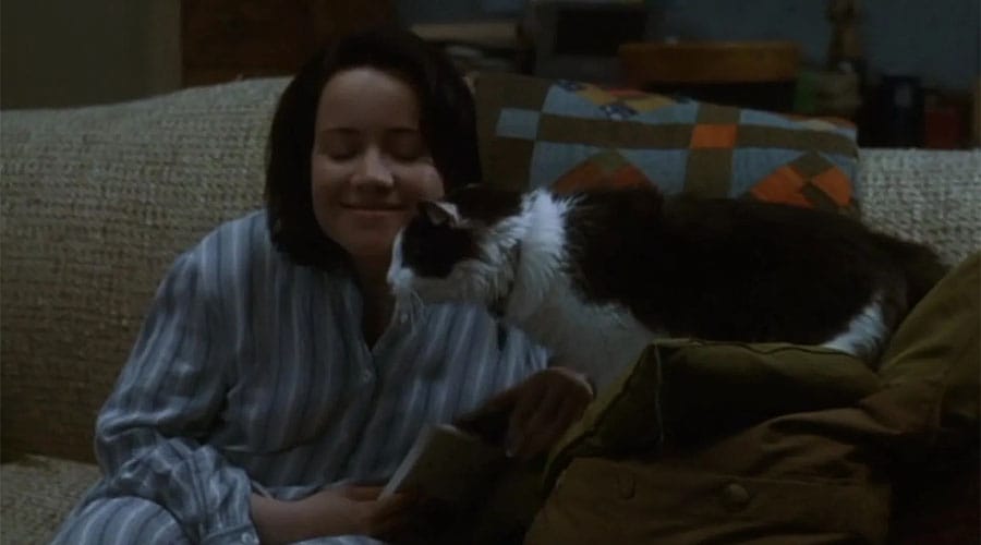 La verdad sobre perros y gatos 04